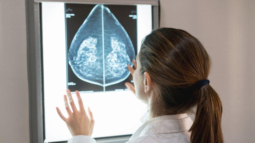 A doctor looking at a mammogram