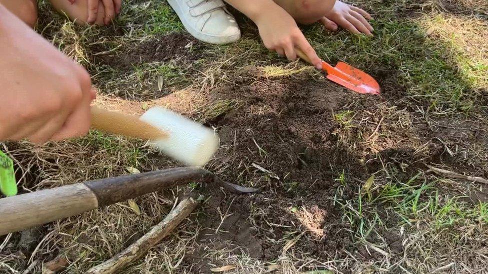 Tools are used to encourage the worms out of the ground