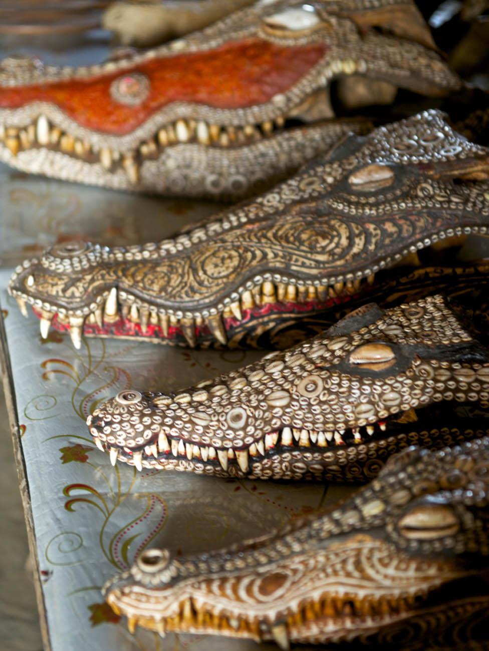 Decorated crocodile skulls in Kaminimbit, Papua New Guinea