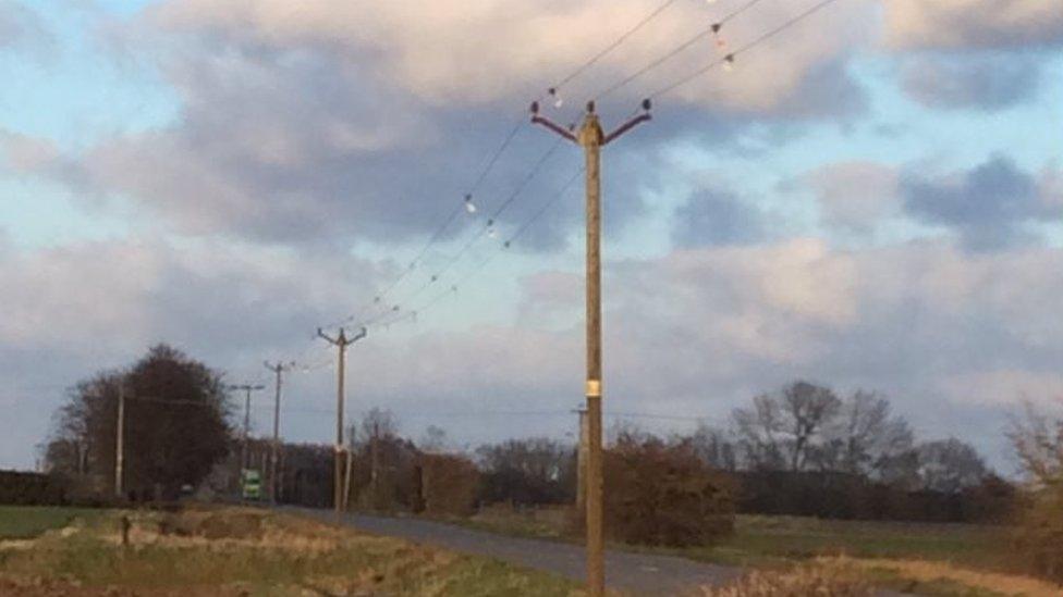 Power lines at Baston