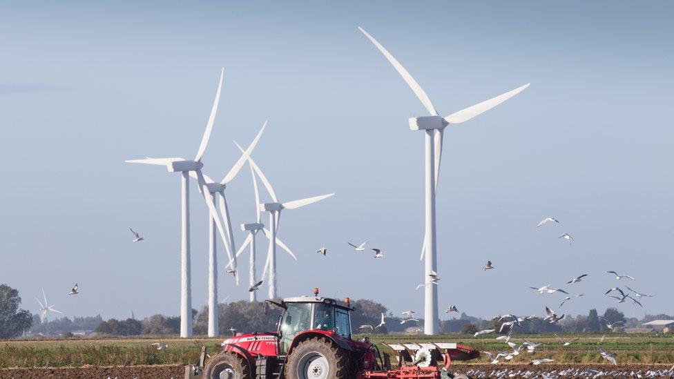 Fen wind turbine