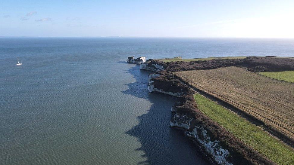 THURSDAY - Old Harry Rocks