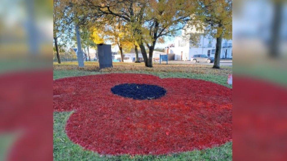 A poppy in Doncaster