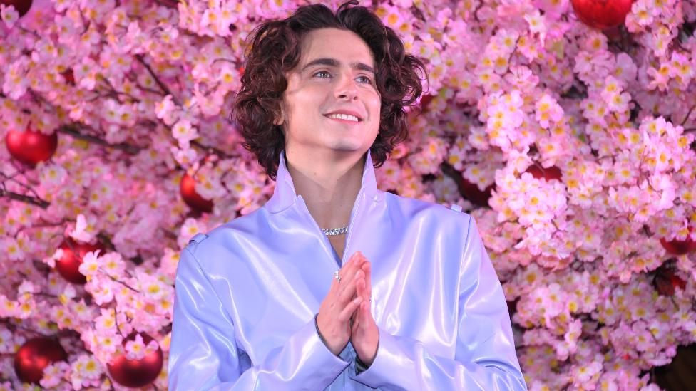 Timothée Chalamet at the premiere of Wonka