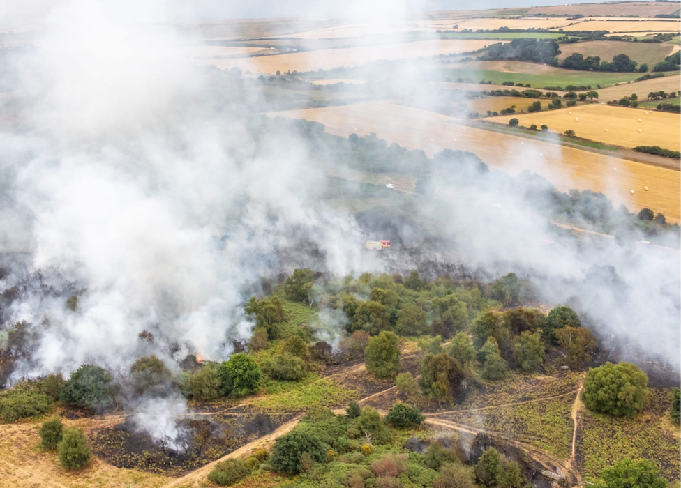 Smoke across nature reserve
