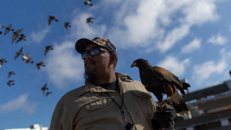 falcon-handler-ricky-holdng-pac-man