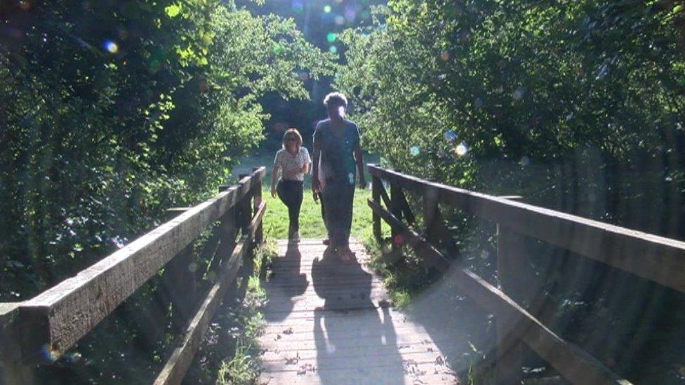 People walking in the woods