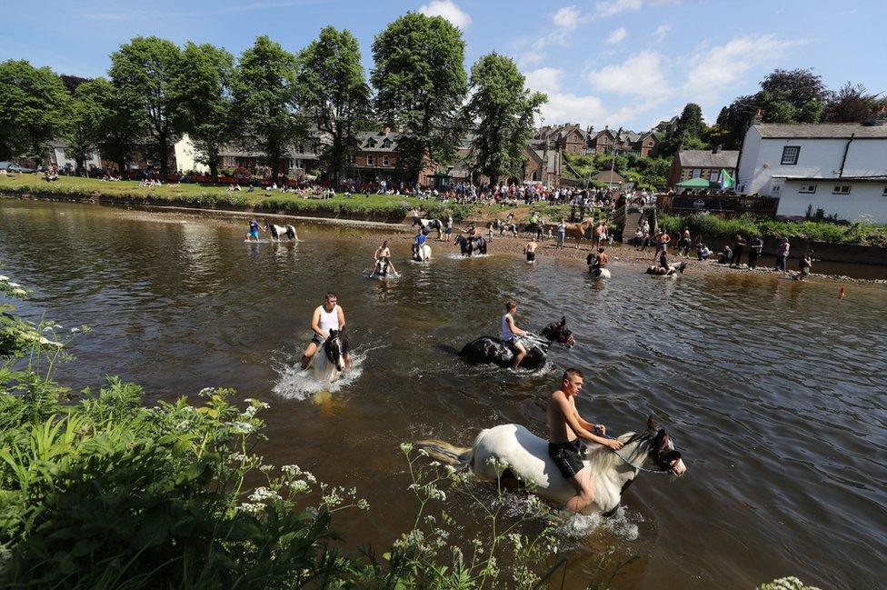 Horses are washed in the River Eden