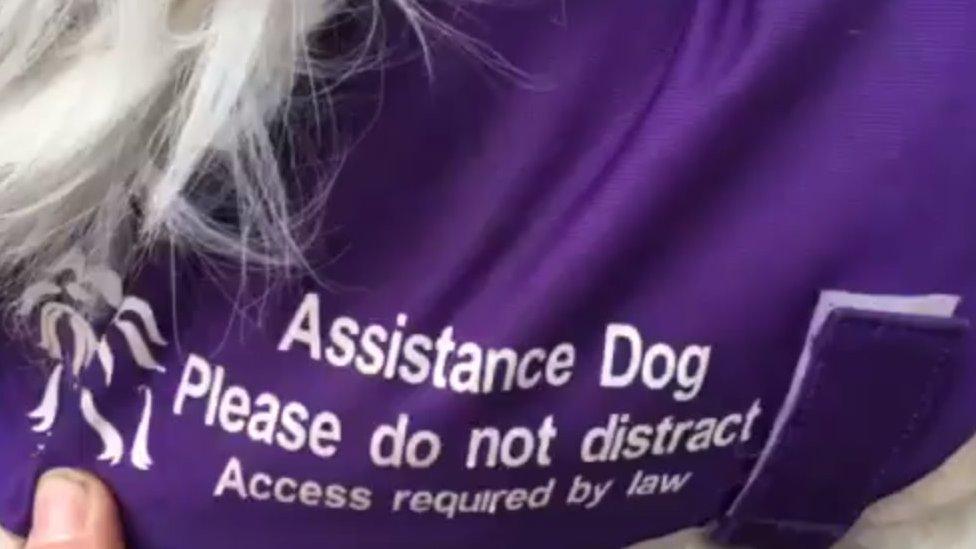 Dog jacket which says: 'Assistance Dog. Please do not disturb. Access required by law'