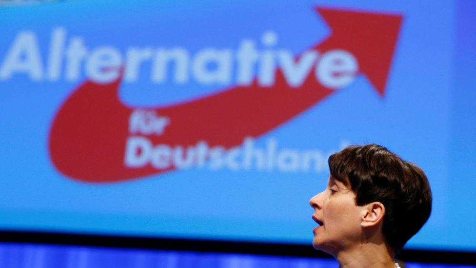 The Alternative for Germany party's chairwoman Frauke Petry