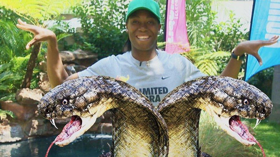 Two cobras superimposed over Caster Semenya