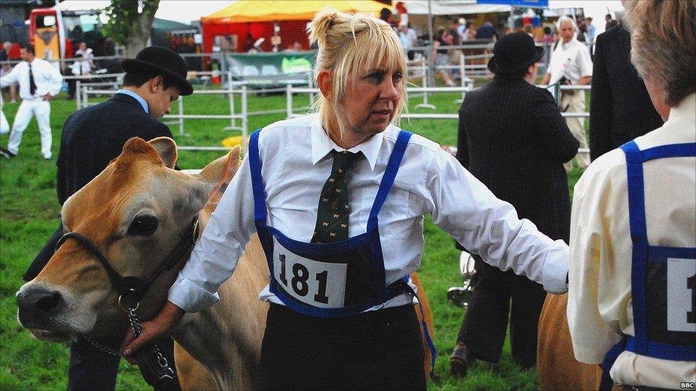 Cows being judged at Royal Norfolk Show 2011