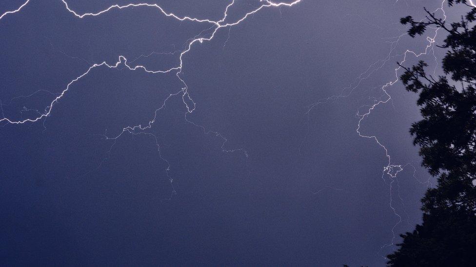 Lightning forking across a navy blue night sky.