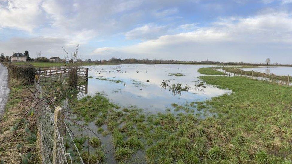 A flooded field