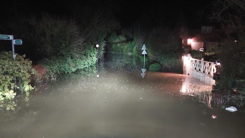 Water seen on a narrow road with trees and bushes either side