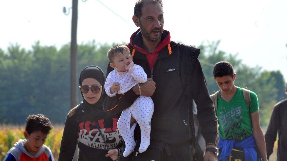 Migrants walk through Serbia to the Hungarian border. 14 Sept 2015