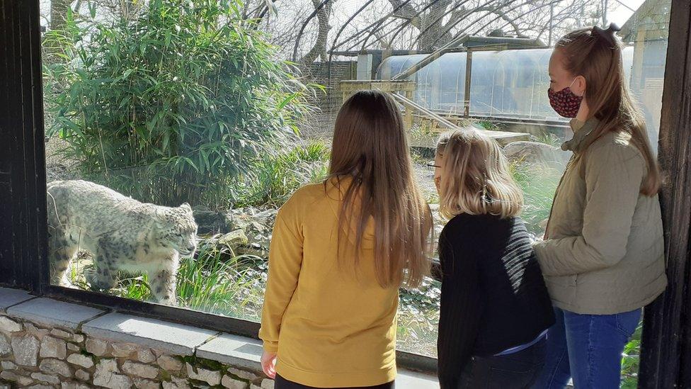 Visitors admiring a snow leopard