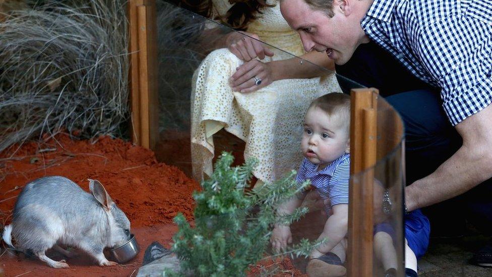 The Duke and Duchess of Cambridge and their son Prince George