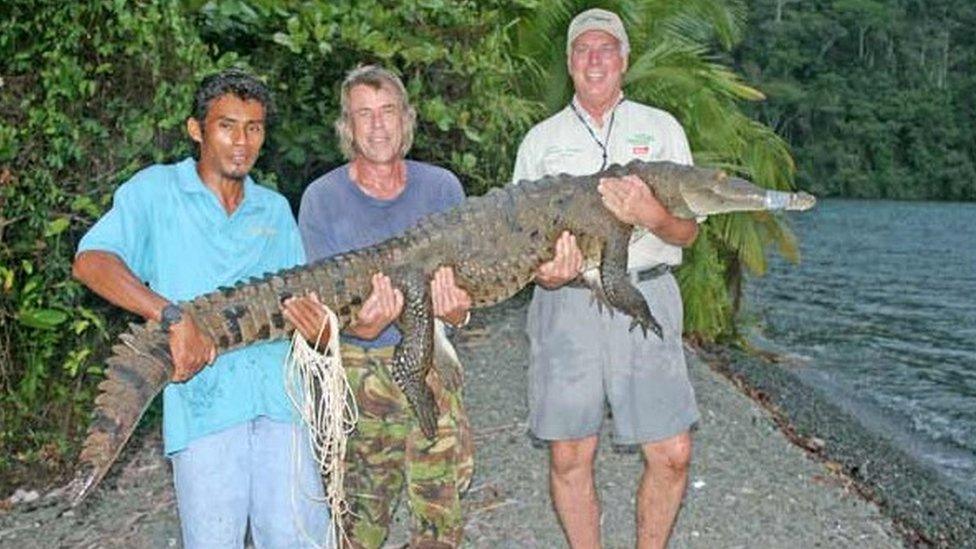 Mike Boston helping to "relocate" a crocodile from a beach to a lagoon