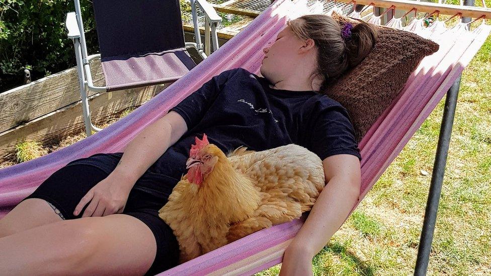 A young woman asleep in a hammock with her pet chicken