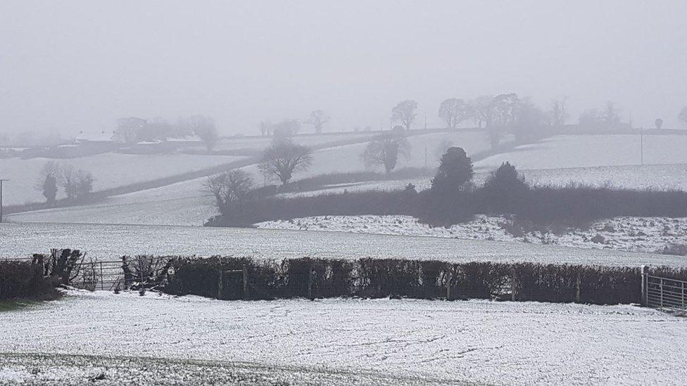 Snow in Hamilton's Bawn