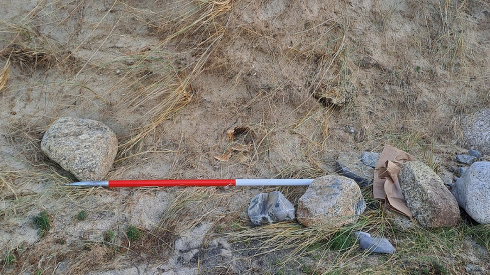 Remains in dunes