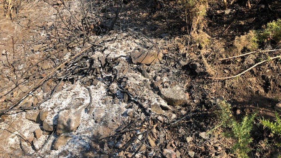 Fire damage on Arthur's Seat