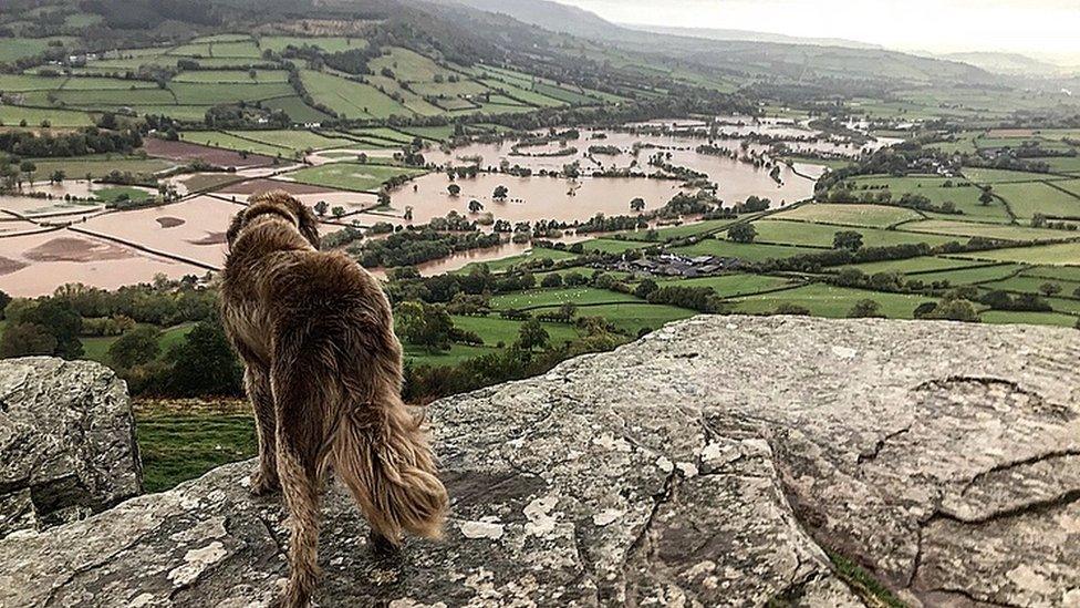 View of the River Usk from Allt yr Esgair just up the road from Crickhowell