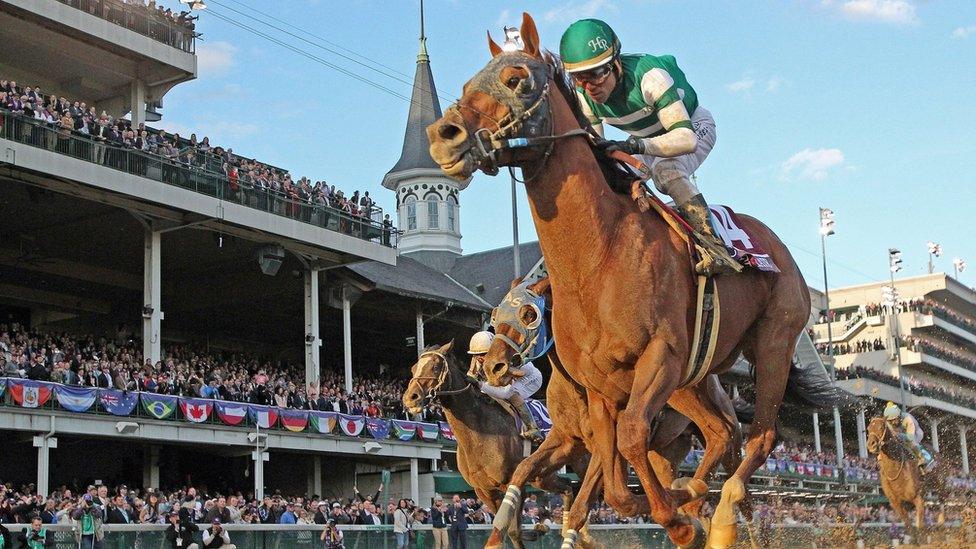 Accelerate, ridden by Joel Rosario, wins the Breeders' Cup Classic on 3 November 2018