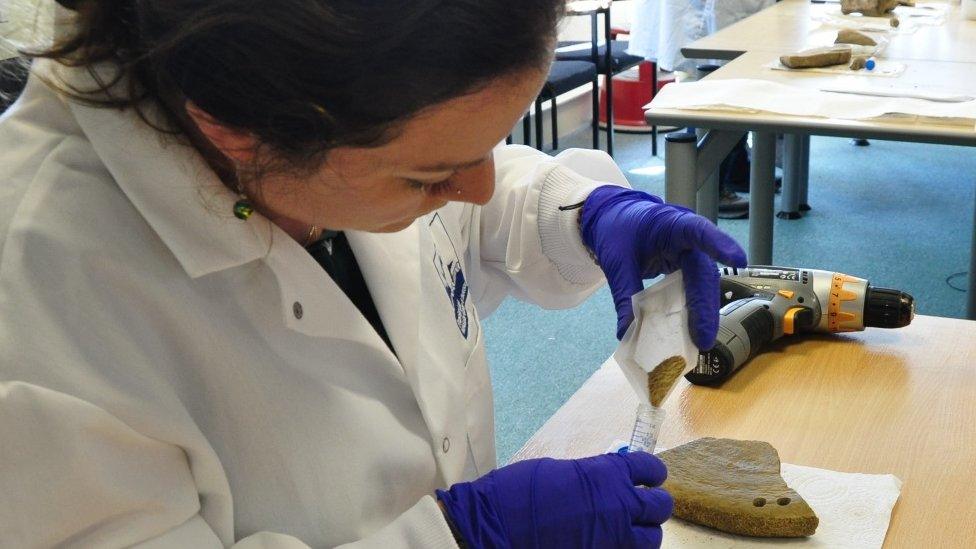 Removing a sample of whale bone