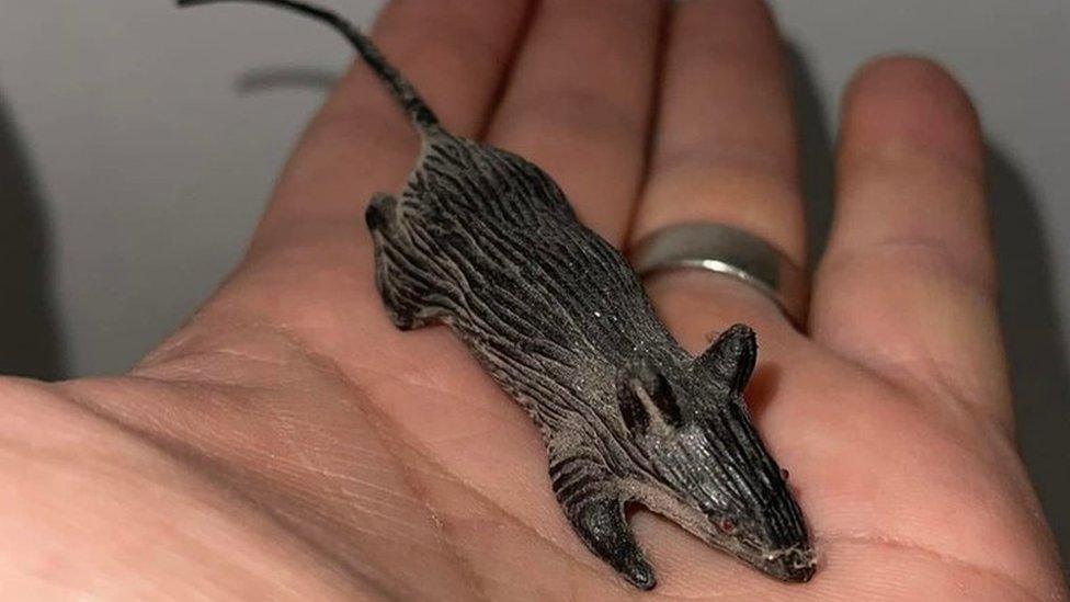 A rubber mouse being held by Adam Leonard