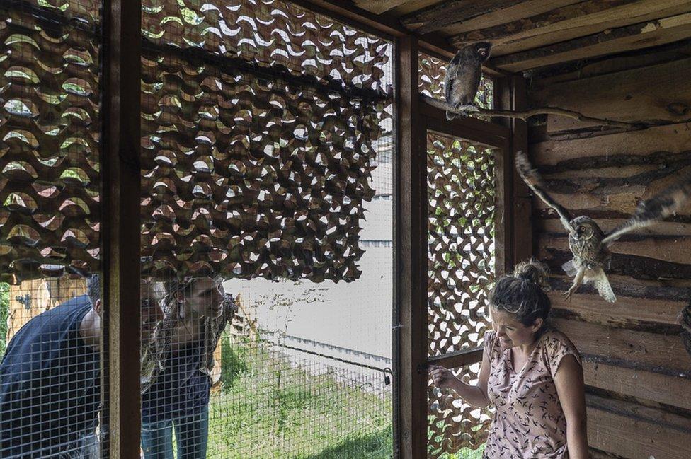 Inside an aviary