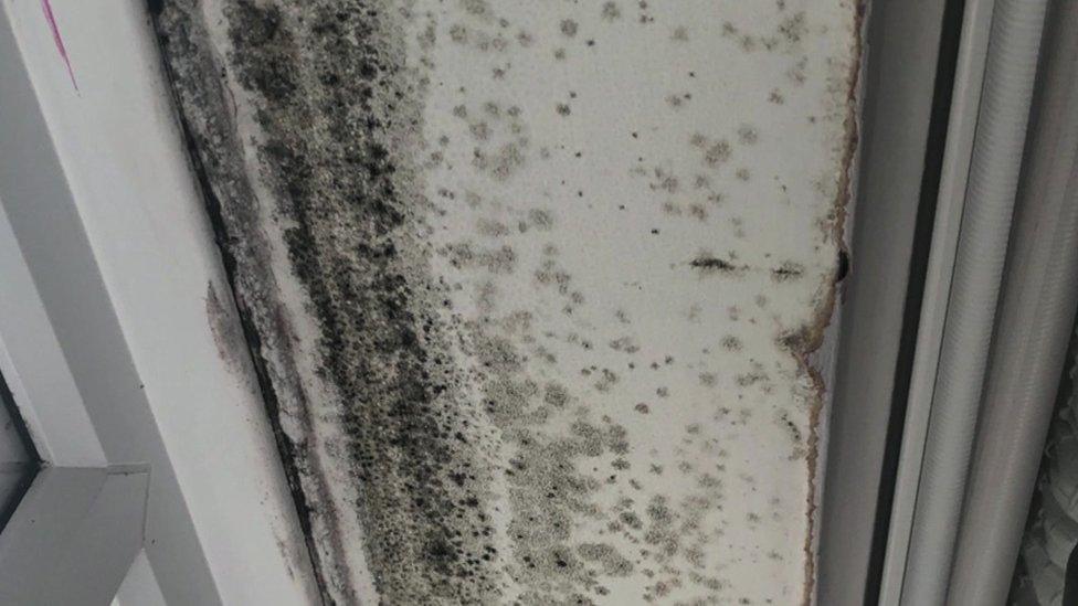 Damp in a house in Torquay