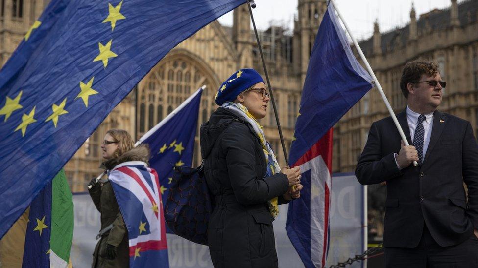 Anti Brexit campaigners outside parliament