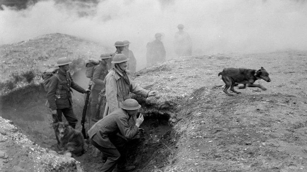 Matley Ridge World War One dog training facility