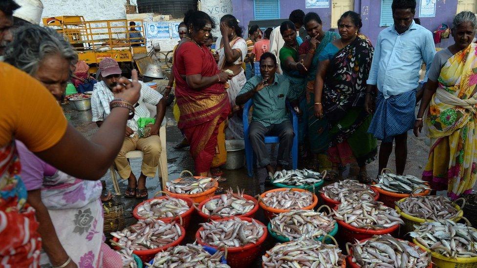 Fish selling in Tamil Nadu