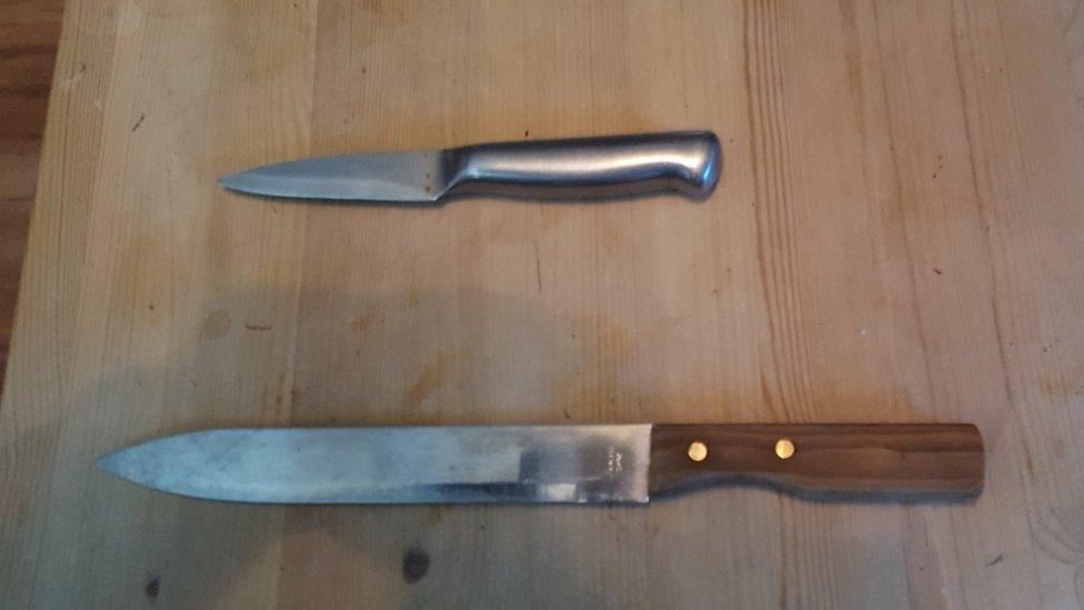 Police photo of two knives