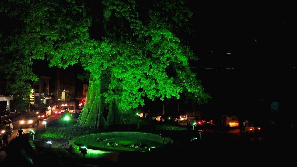 The Cotton Tree in Sierra Leone