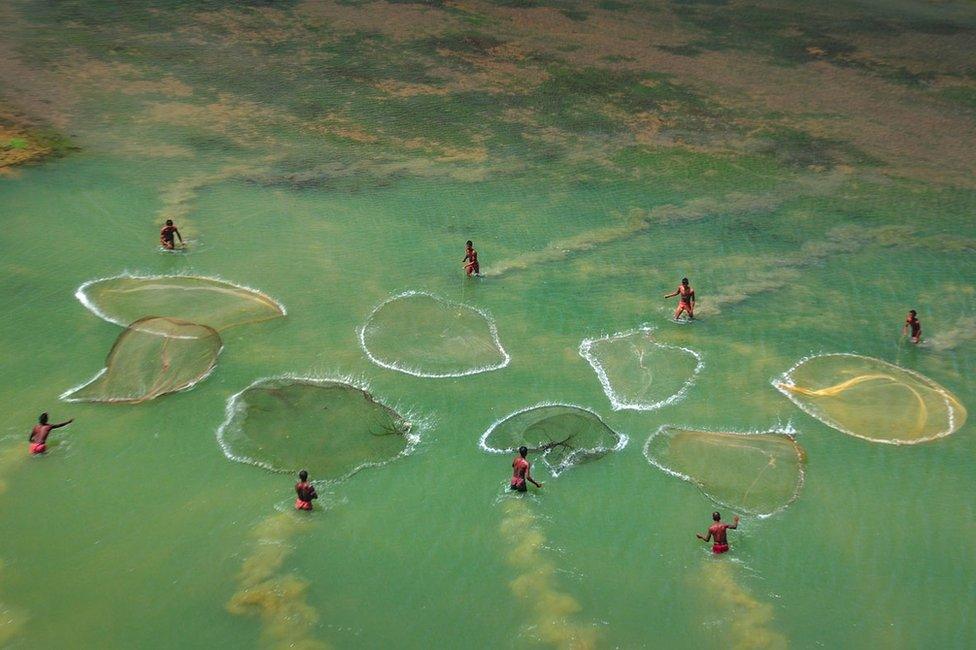 Fishermen casting their nets in a perennial river in lower Bengal