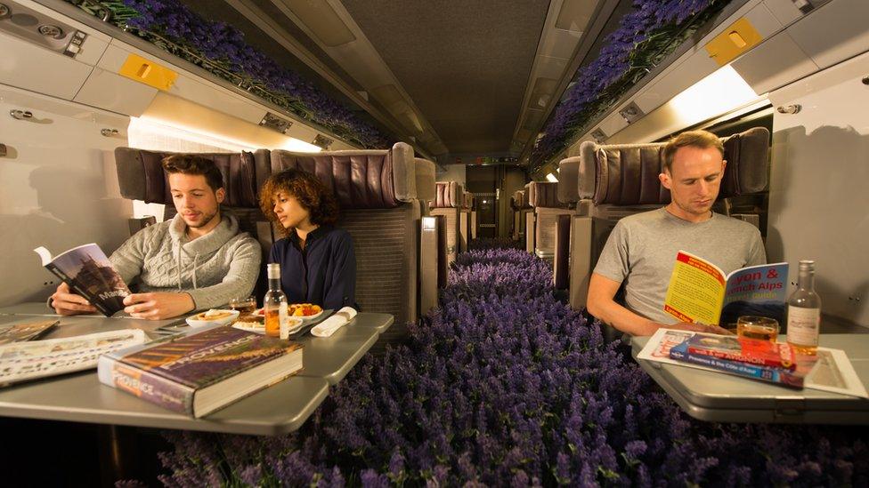 A Eurostar carriage converted into a Lavender field