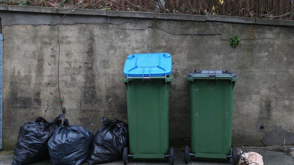 Bin bags and wheelie bins