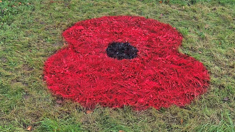 Poppy on roundabout