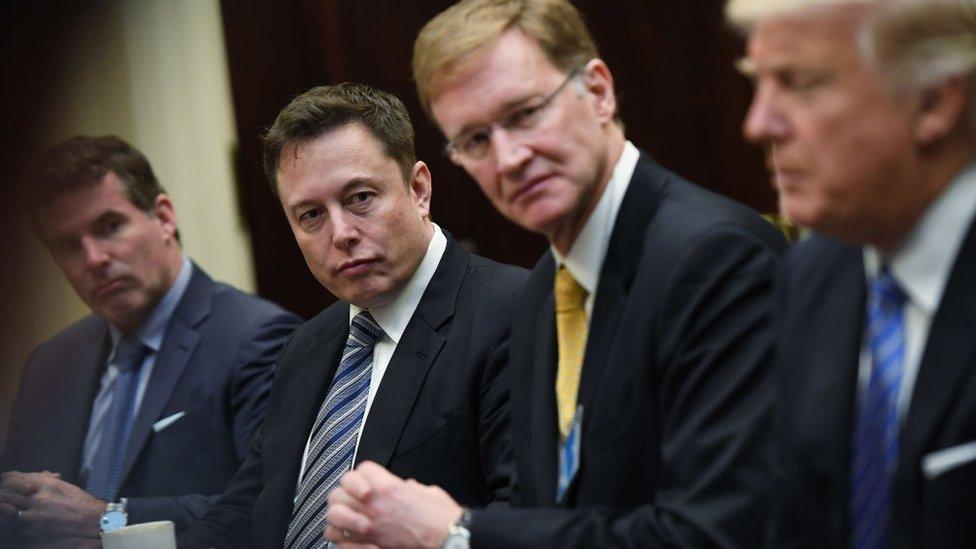 Elon Musk at the Trump White House in 2017