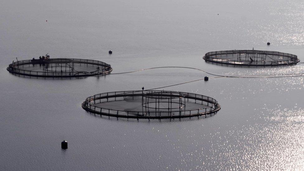 fish farm