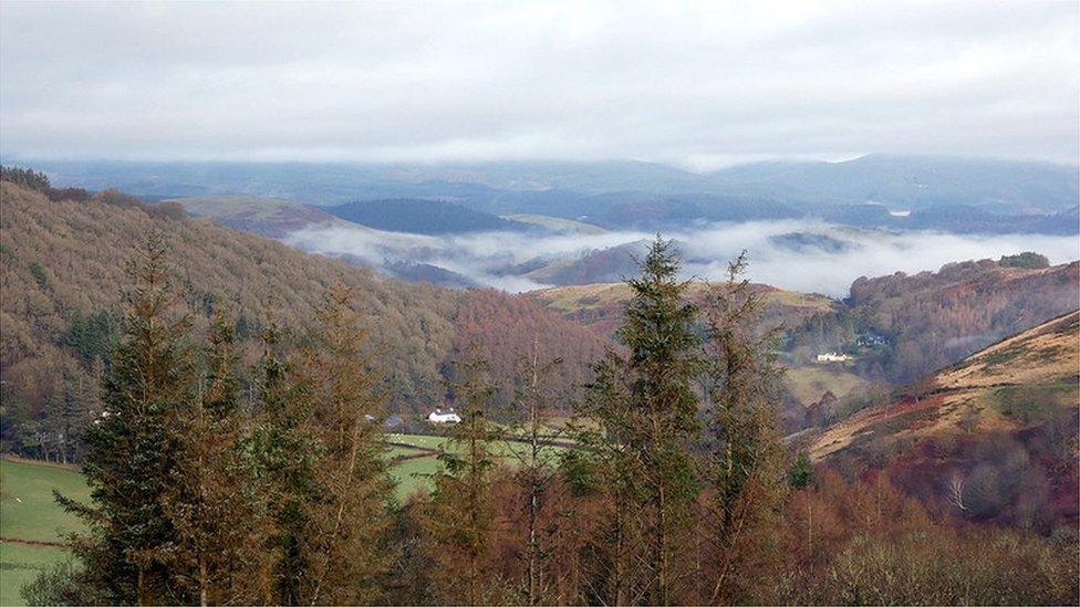 Cefn gwlad Machynlleth