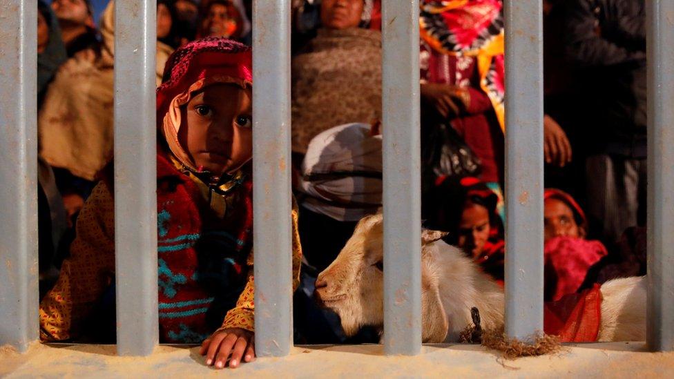 Devotees gather during the ritual before the sacrificial ceremony of the "Gadhimai Mela" festival at Bariyarpur in Nepal December 3, 2019