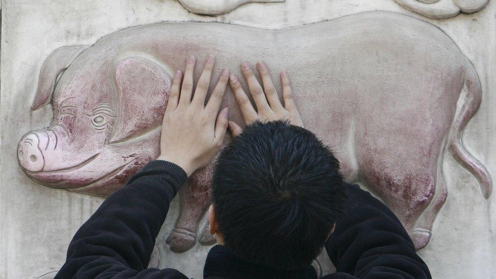 A man rubs his hands on a sculpture of a pig for good luck