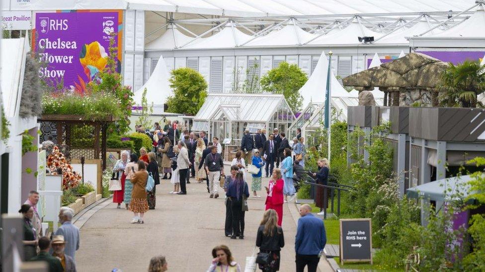 people-at-the-chelsea-flower-show.