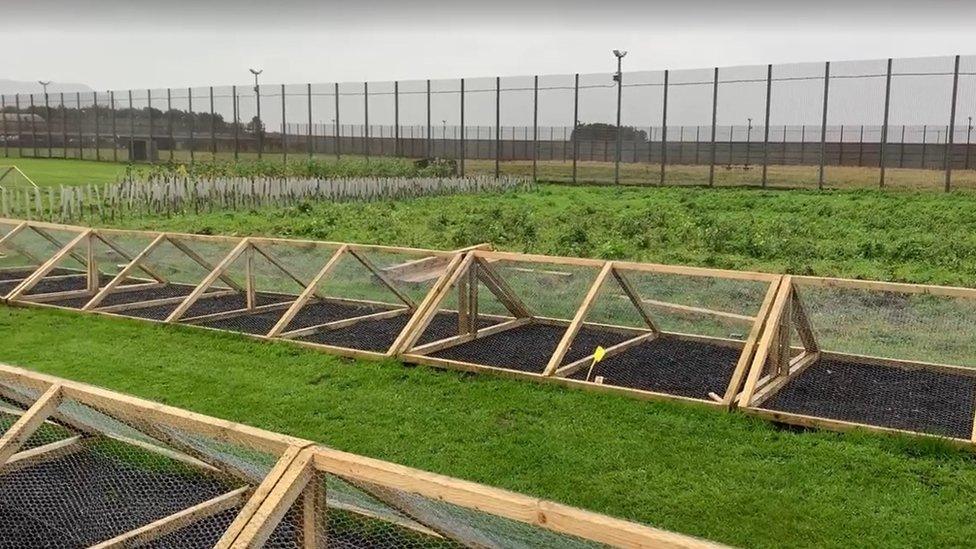 Tree nursery