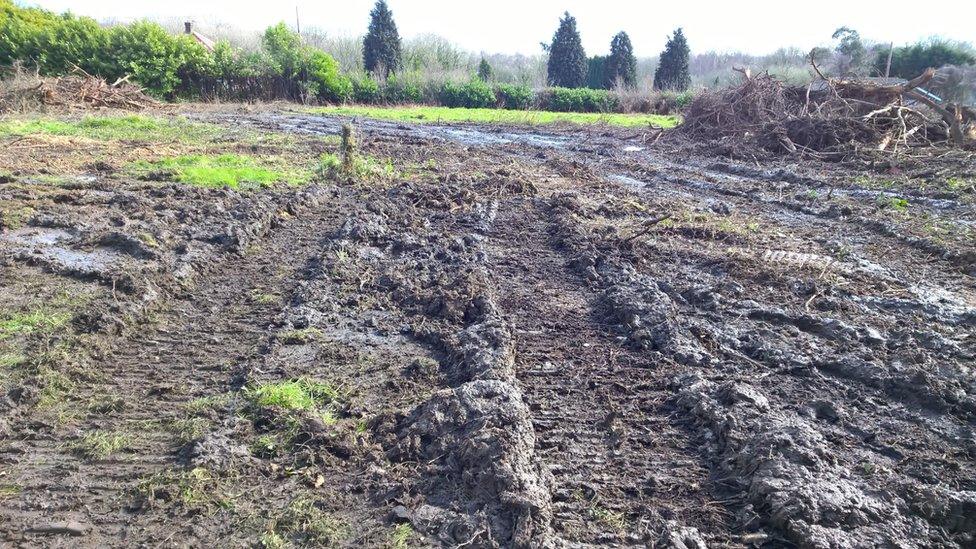 Land cleared by James Rolph